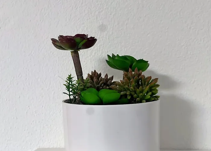 Apartmán Blago Center *