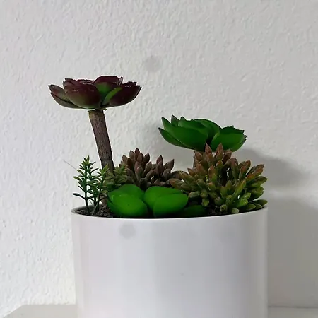 Appartamento Blago Center *