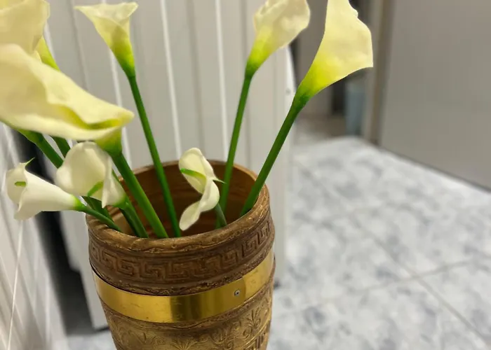 Blago Center * ספליט