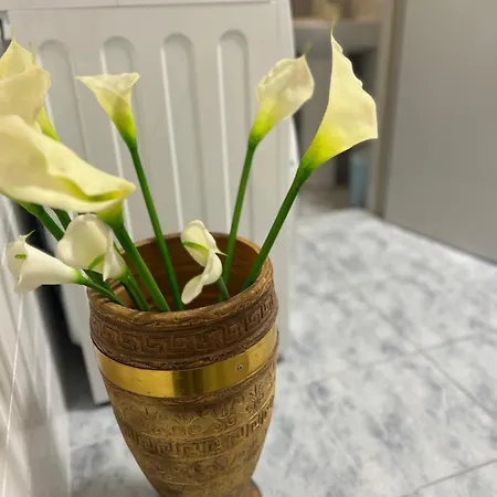 Blago Center * Split